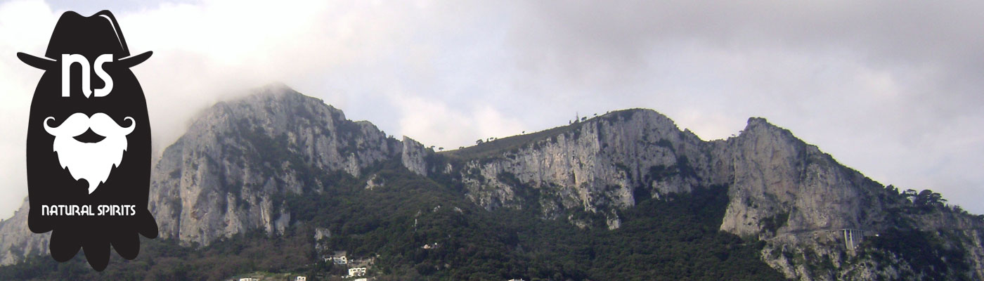 Natural Spirits, LLC